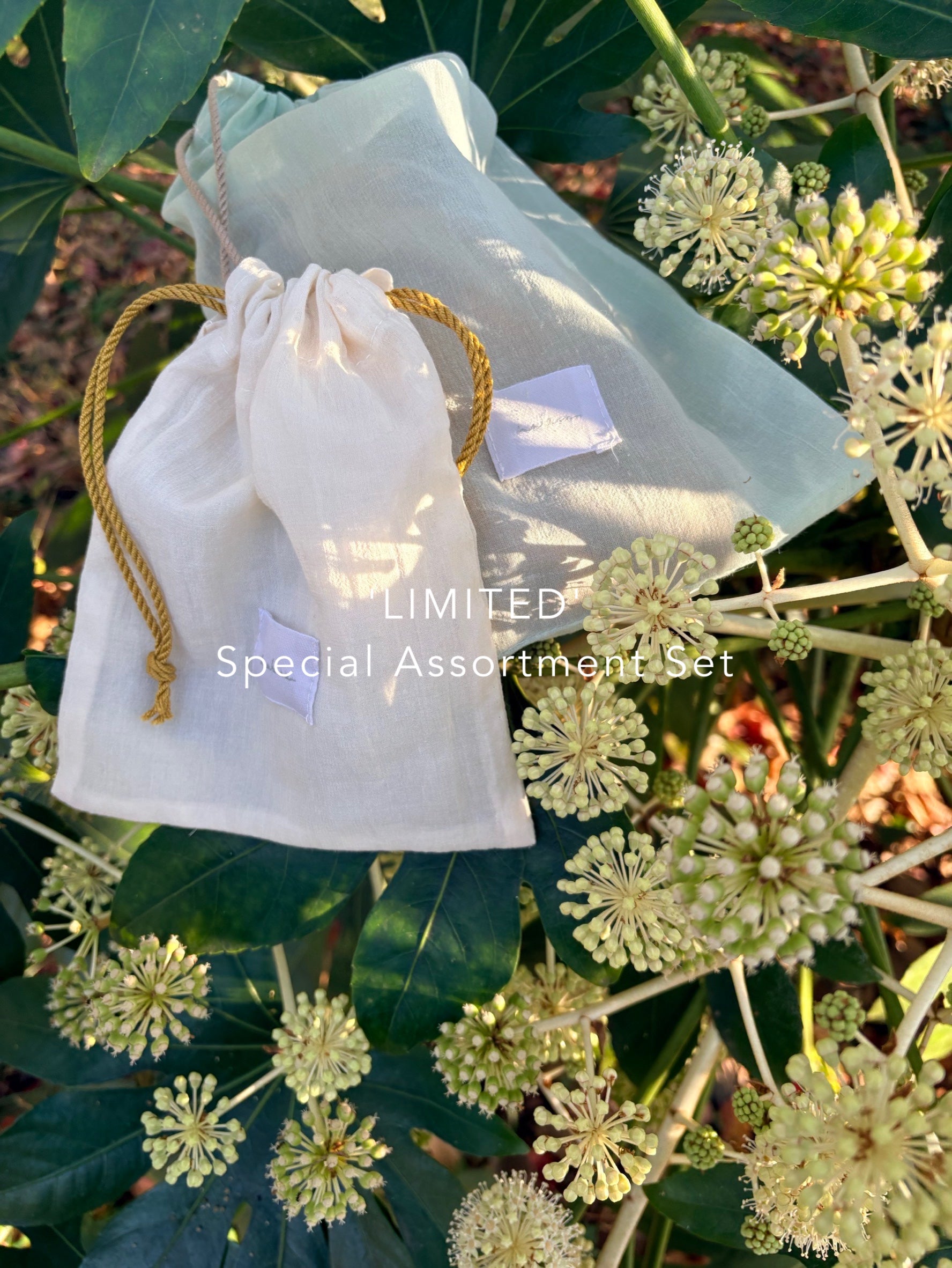 'LIMITED' Special Assortment Set ▶︎12.18Thu - 12.28Sun